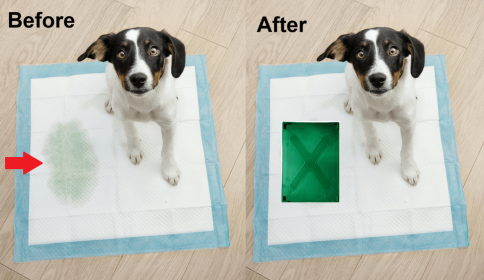 Hide A Pee Pee Spot Covers for Dog Pee Pads | 1 Dark Green Paw Prints X Starter Kit