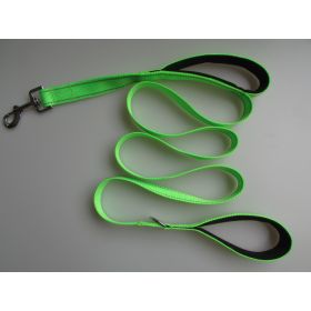Pet Double Handle Pull Leash (Option: Green)
